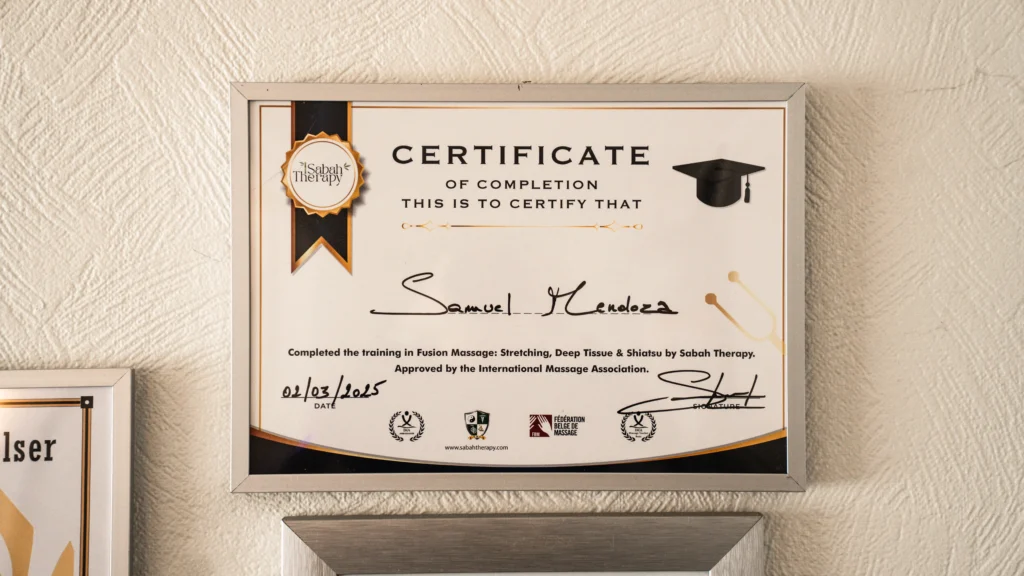 Forside medaljer og certifikater 13