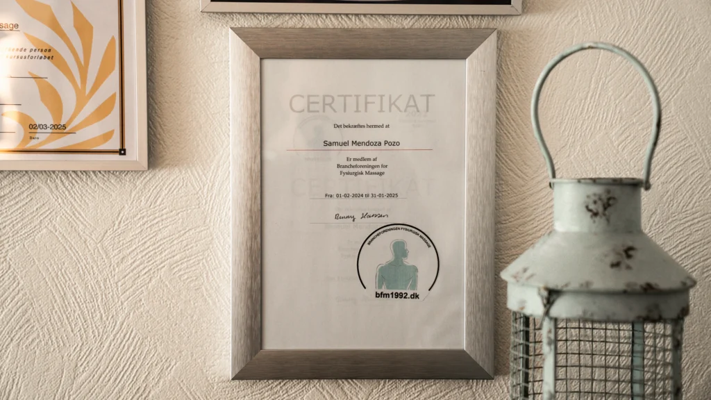 Forside medaljer og certifikater 14