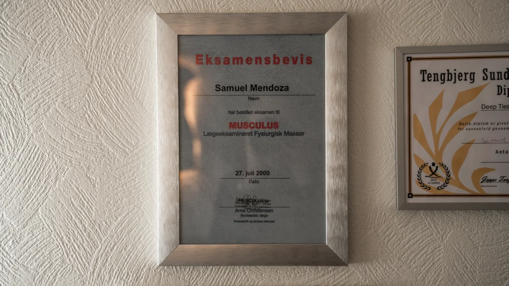 Forside medaljer og certifikater 18